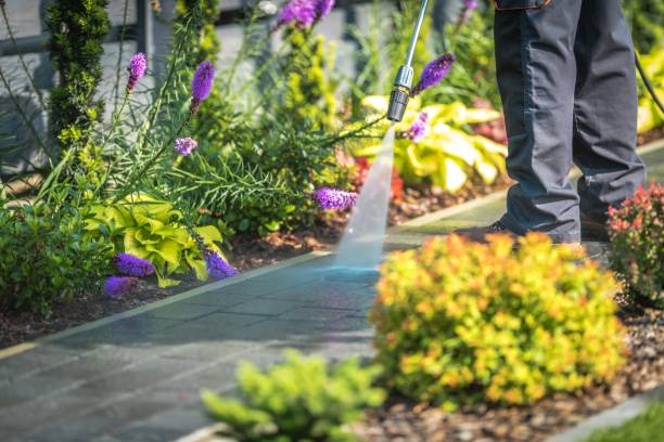  Mineville, NY Pressure Washing Pros
